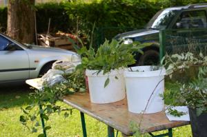 Izmenjevalnica v Zavodu Stanislava bo postala spomladanske in jesenska stalnica 1